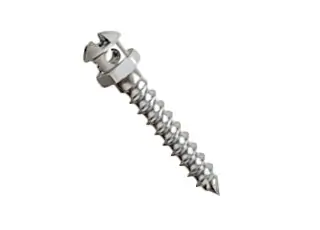 歯科矯正用アンカースクリュー